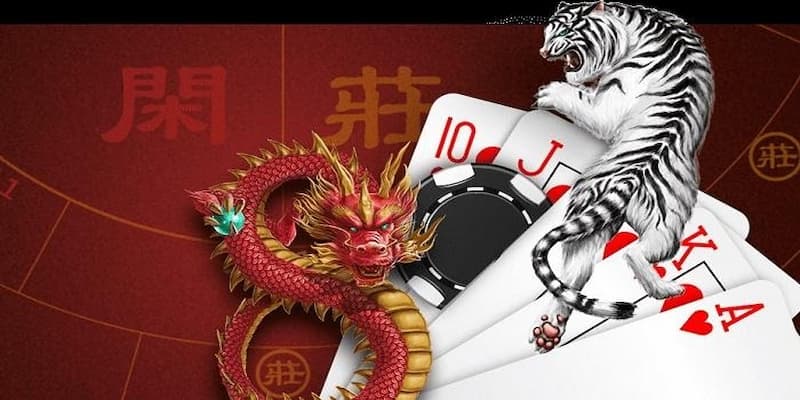 Bảng phân tích các cửa cược trong rồng hổ