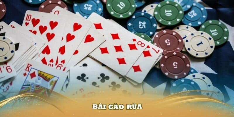 Các chiến thuật chơi bài cao rùa hiệu quả giúp tăng cơ hội chiến thắng