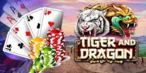 Chiến thuật hướng dẫn chơi rồng hổ hiệu quả tại Go88