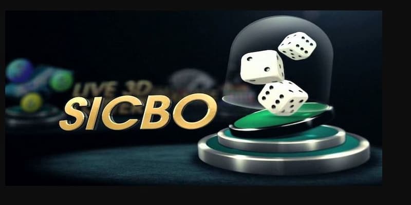 Chiến thuật và mẹo chơi lắc tài xỉu hiệu quả tại go88