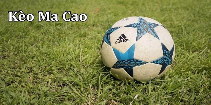 Hiểu đúng về tỷ lệ kèo ma cao