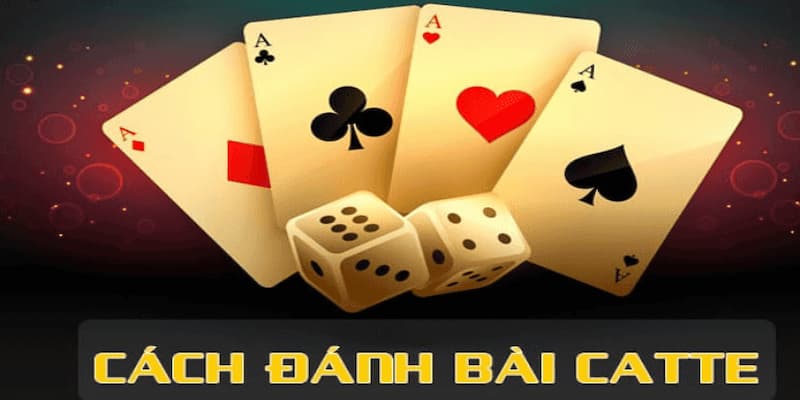 Hiểu rõ luật chơi và cấu trúc bài catte