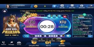 Hiểu rõ về cược chẵn lẻ trong tài xỉu GO88