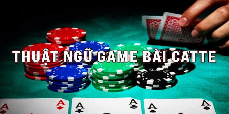 Luật Chơi Và Cách Chia Bài Trong Bài Catte 6 Lá