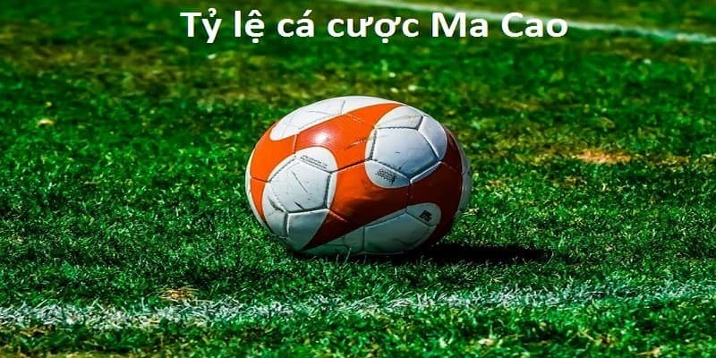 Bảng so sánh đặc điểm tỷ lệ kèo ma cao và kèo chuẩn