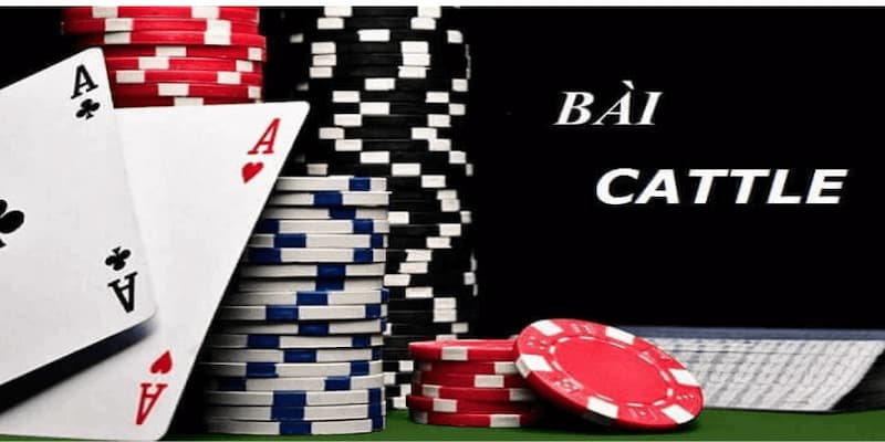 Tại sao nên chọn GO88 để áp dụng mẹo đánh bài catte