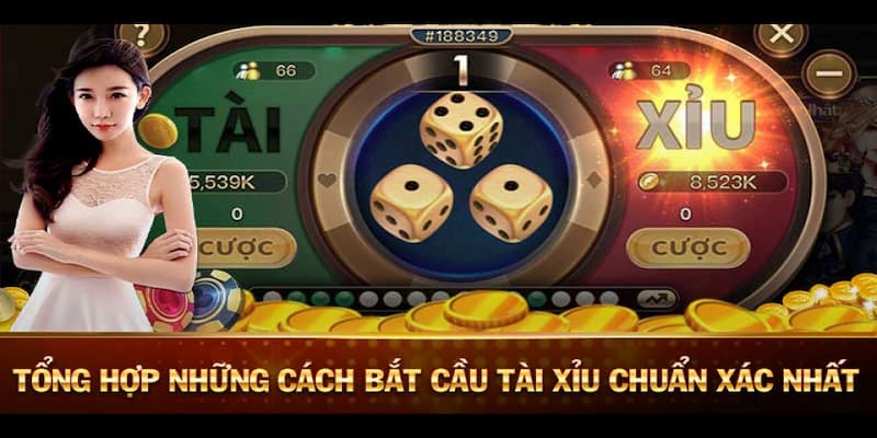 Tổng quan về kỹ thuật bắt cầu tài xỉu